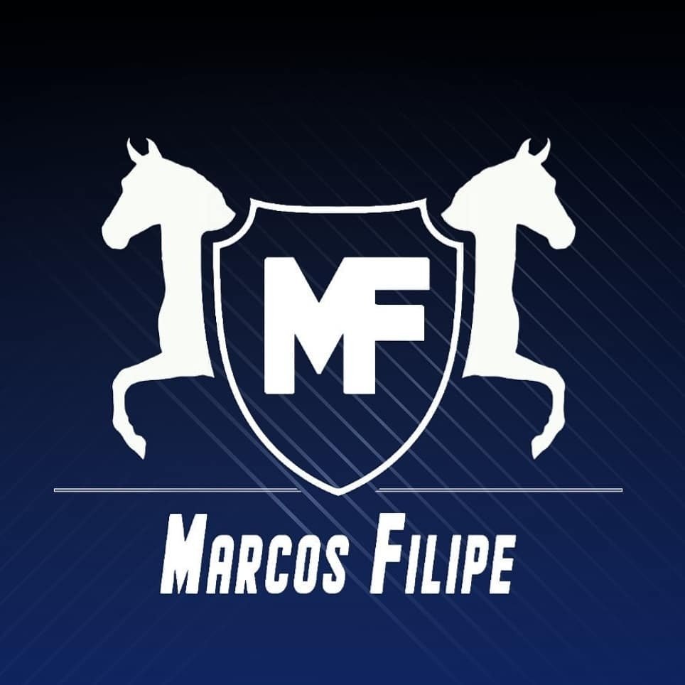 MF Assessoria